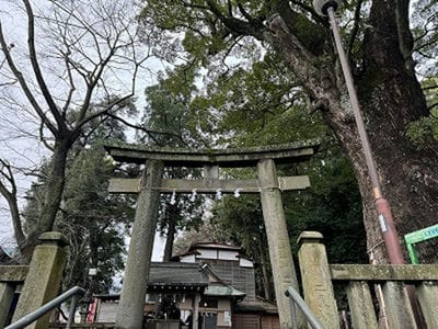 �����̐_�lDX