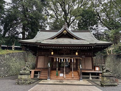 �����̐_�lDX