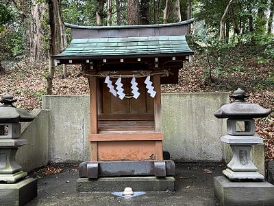 �����̐_�lDX