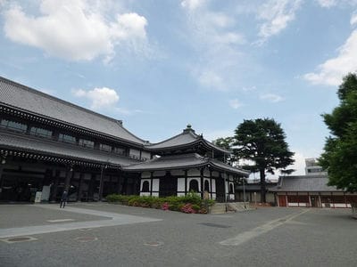 �����̐_�lDX