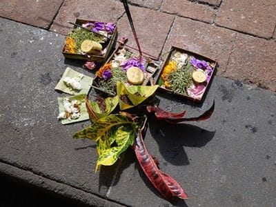 �����̐_�lDX