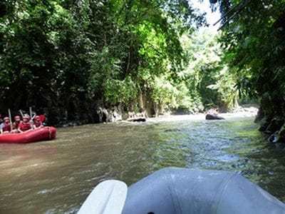 �����̐_�lDX