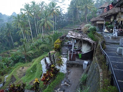 �����̐_�lDX