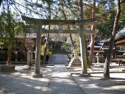 �����̐_�lDX