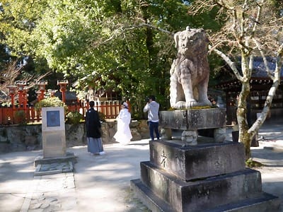 �����̐_�lDX