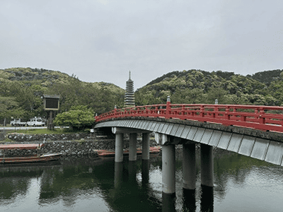 �����̐_�lDX