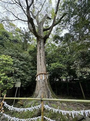 �����̐_�lDX