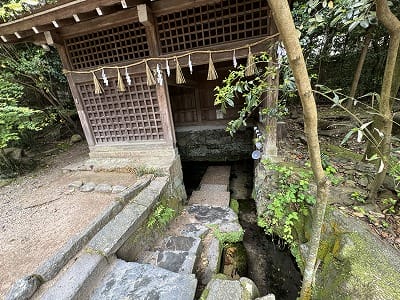 �����̐_�lDX