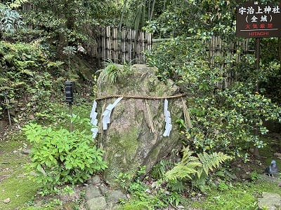 �����̐_�lDX