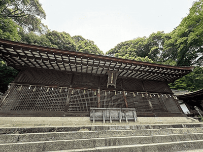 �����̐_�lDX