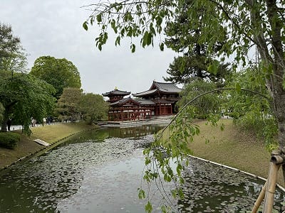 �����̐_�lDX