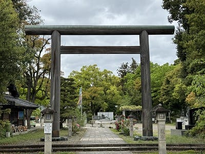 �����̐_�lDX