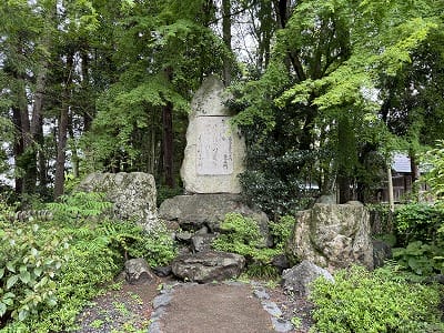 �����̐_�lDX