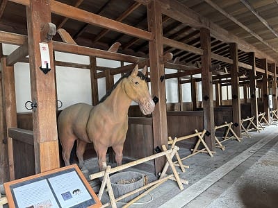 �����̐_�lDX