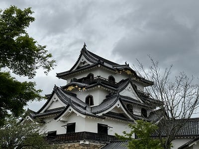 �����̐_�lDX