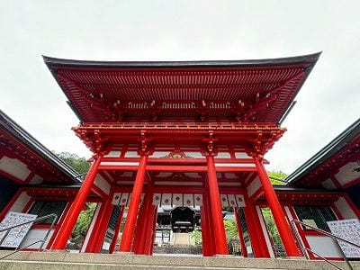 �����̐_�lDX