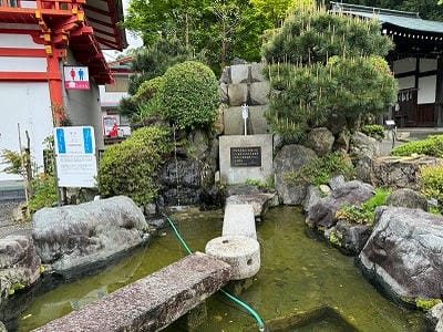 �����̐_�lDX