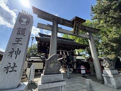 �����̐_�lDX