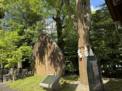 �����̐_�lDX