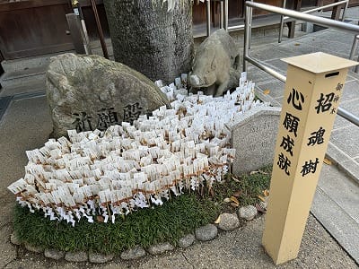 �����̐_�lDX