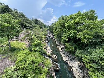 �����̐_�lDX