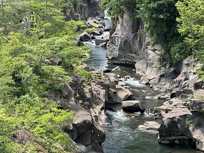 �����̐_�lDX