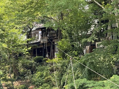 �����̐_�lDX