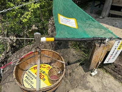 �����̐_�lDX