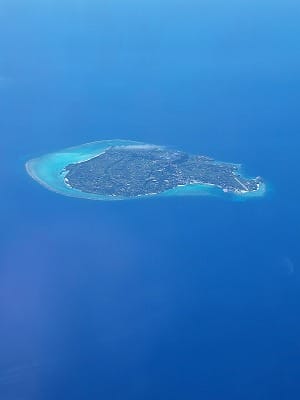 �����̐_�lDX