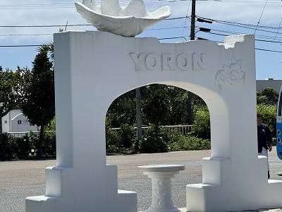 �����̐_�lDX