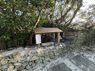 �����̐_�lDX