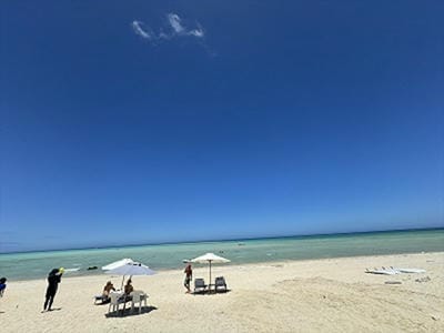 �����̐_�lDX