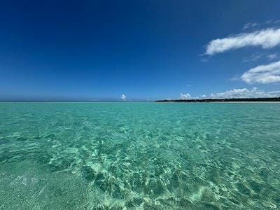 �����̐_�lDX