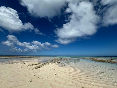 �����̐_�lDX