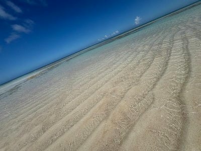 �����̐_�lDX