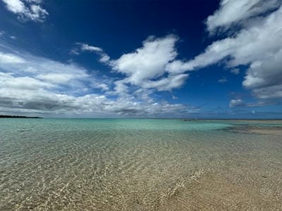 �����̐_�lDX