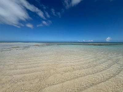 �����̐_�lDX