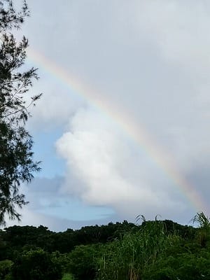 �����̐_�lDX