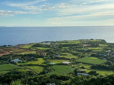 �����̐_�lDX