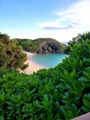 �����̐_�lDX