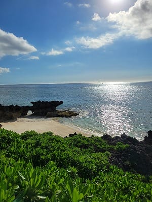 �����̐_�lDX