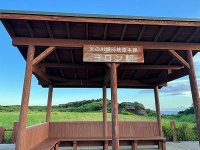 �����̐_�lDX