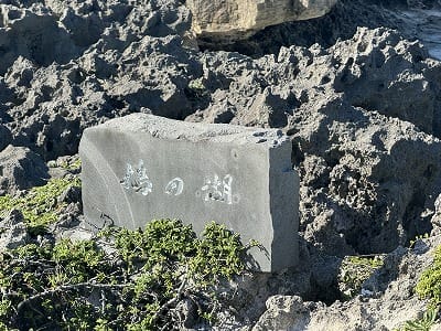 �����̐_�lDX