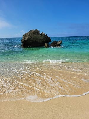 �����̐_�lDX