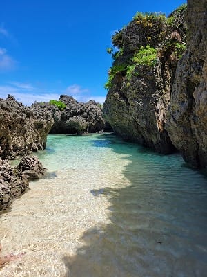 �����̐_�lDX