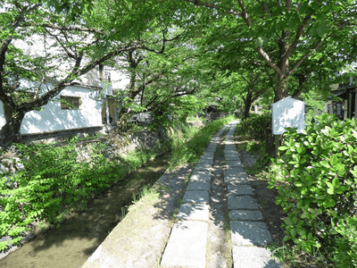 �����̐_�lDX