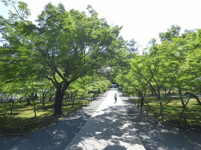 �����̐_�lDX