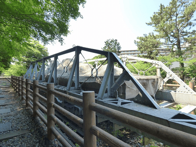 �����̐_�lDX