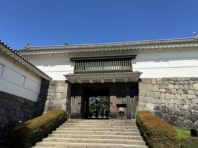 �����̐_�lDX