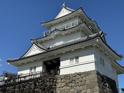 �����̐_�lDX